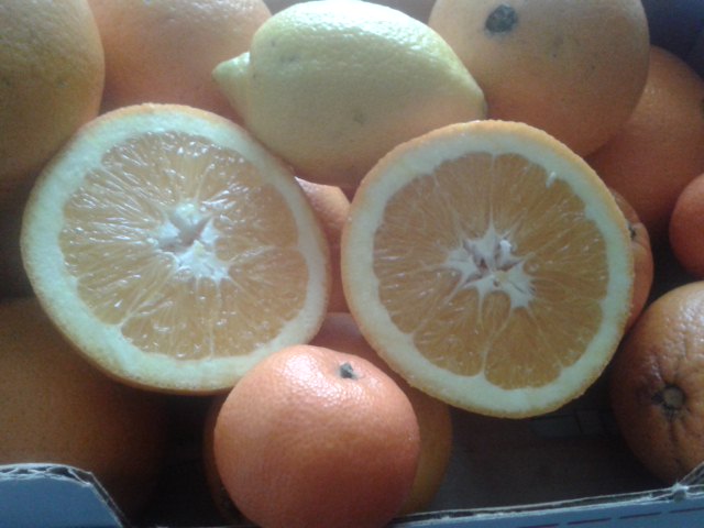 Foto delle arance intere e divisa a metà. Un limone e alcune clementine